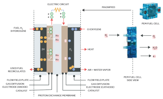 How does the fuel cell work